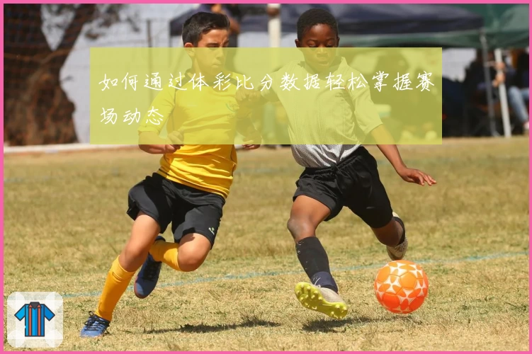 如何通过体彩比分数据轻松掌握赛场动态